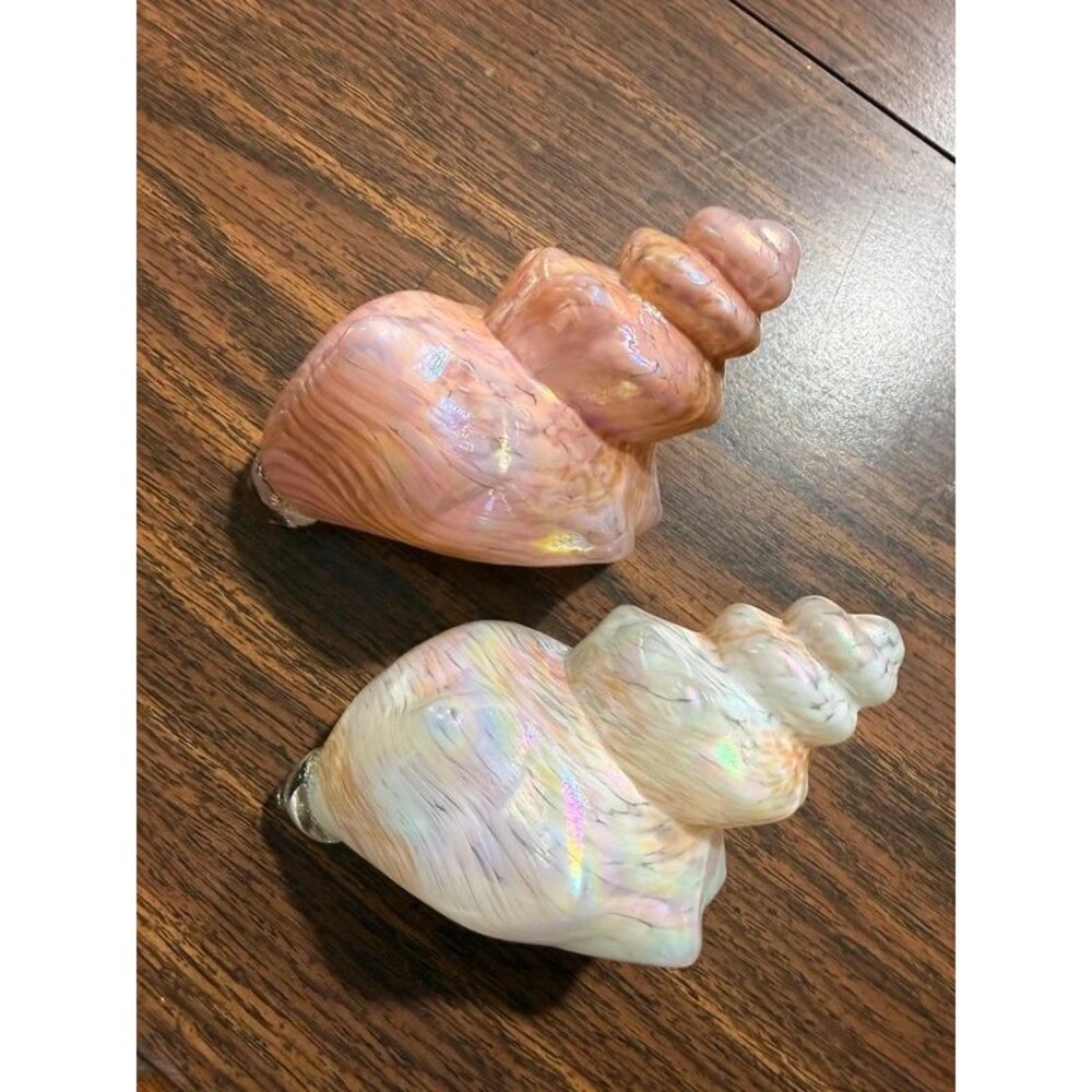 Iridescent Glass Conch Shells - Picture 4 of 6